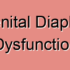Urogenital Diaphragm Pain