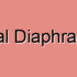 Urogenital Diaphragm Cramps