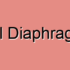 Urogenital Diaphragm Cramps