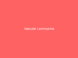 Vascular Leiomyoma