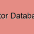 Dynamic DNS (DDNS)