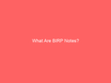 What Are BIRP Notes?