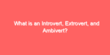 What is an Introvert, Extrovert, and Ambivert?