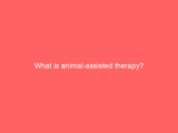 What is animal-assisted therapy?