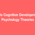 Mental Status Exams: 10 Best Templates, Questions & Examples