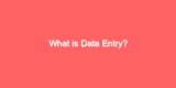 What is Data Entry?