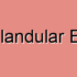 Bladder Epispadias