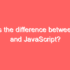 Web Development Basics