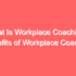 Group Coaching Model