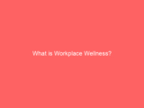 What is Workplace Wellness?